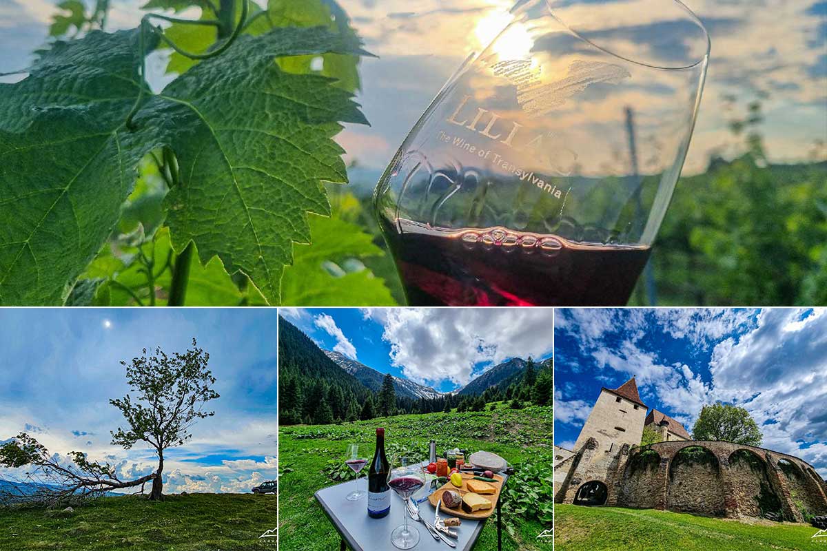 Vacanțe și tururi 2024 | Carpații și vinul din România